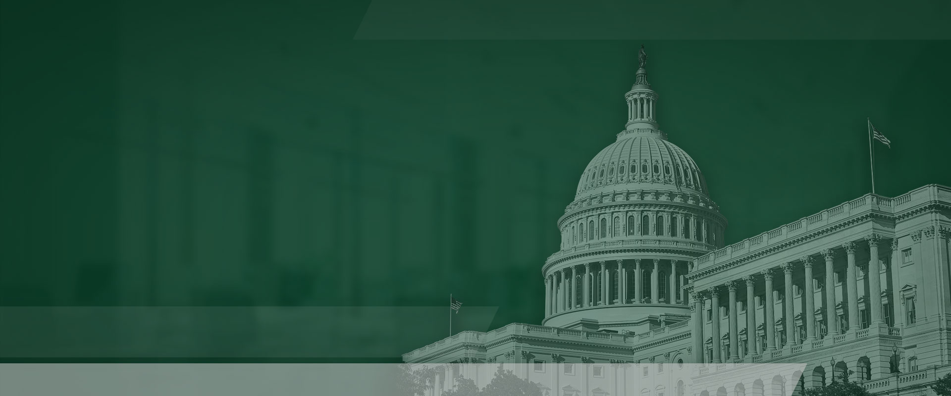 Aurelian Group Clients & Partners