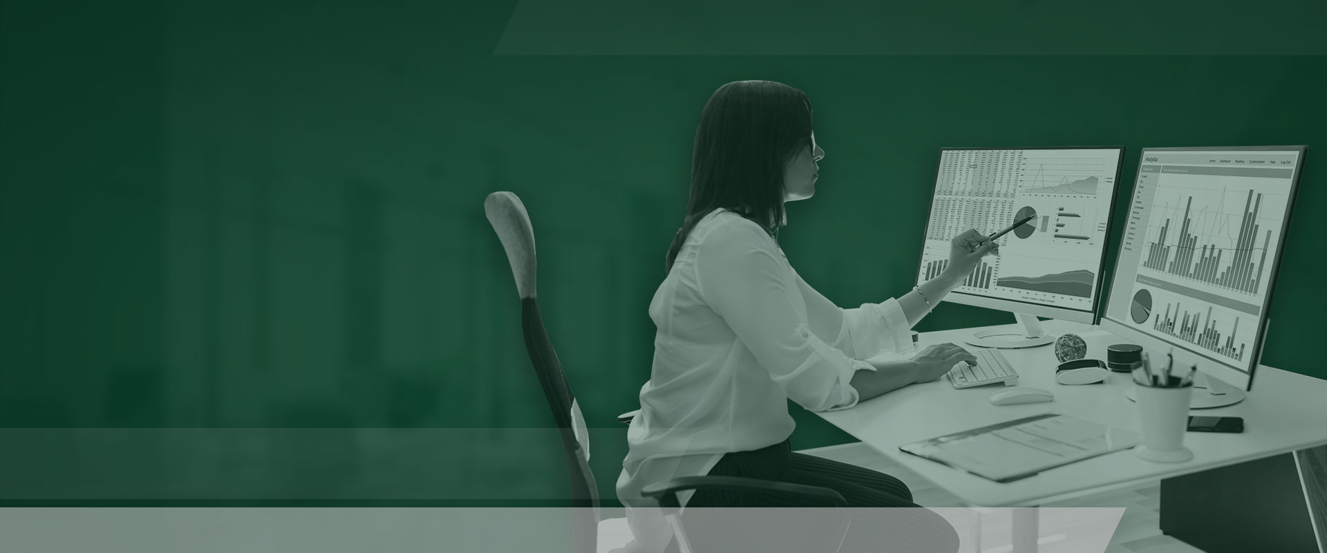 Data Insights & Analytics